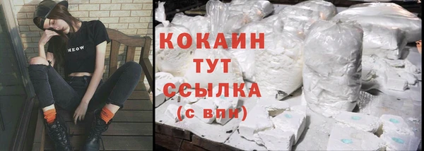 spice Краснослободск