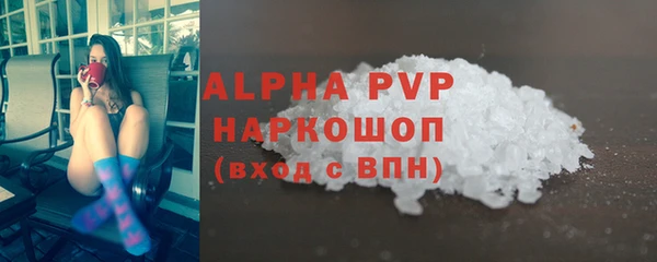 хмурый Чита