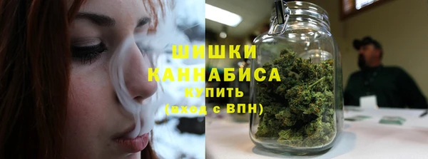 spice Краснослободск