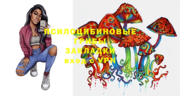 мдпв Архангельск