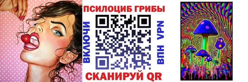 где купить наркотик  сайты даркнета наркотические препараты  Псилоцибиновые грибы Psilocybe  Яхрома 